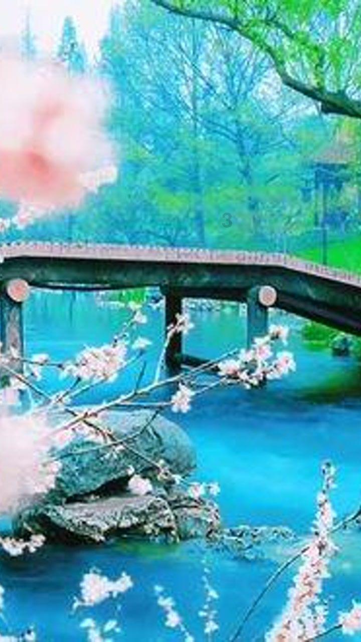 习言道|以中法关系的稳定性应对世界的不确定性